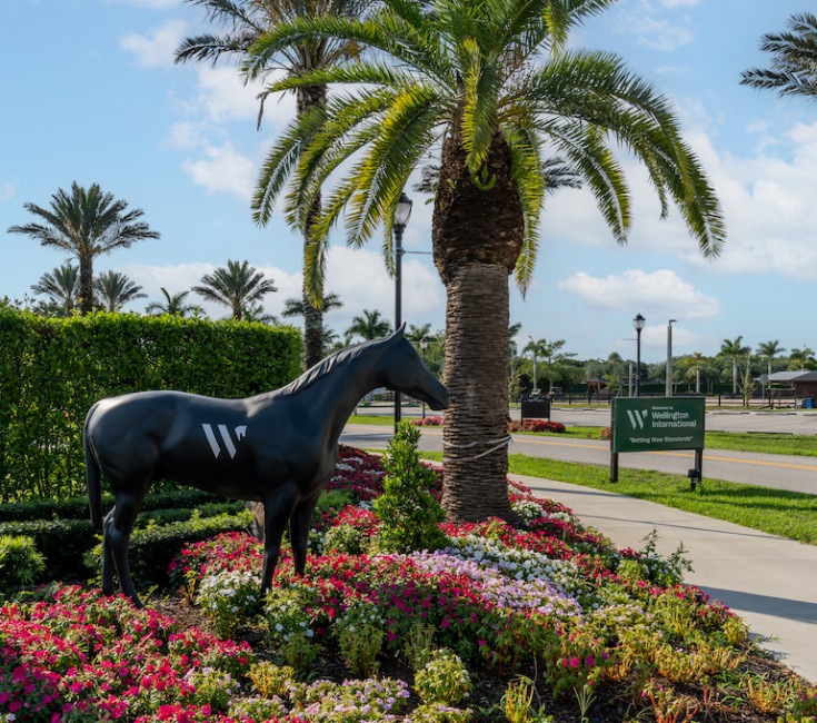 landscaping horse sculpture palm tree blue sky sunshine